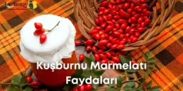 Şekersiz Kuşburnu Marmelatı Faydaları | Mucizevi Karışım